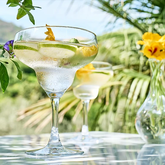 Featured image Spring Margarita The Brightest Cocktail of the Season