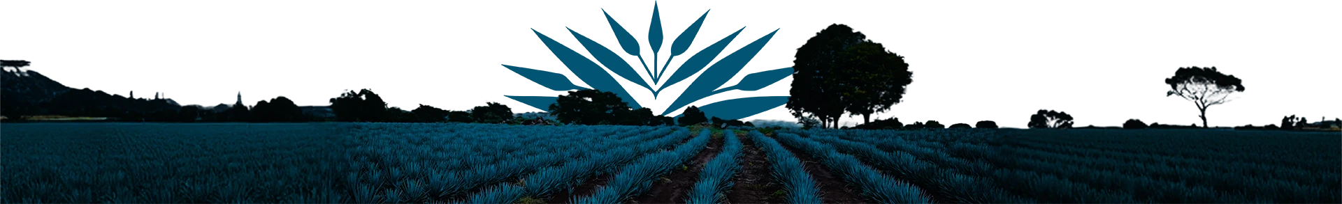 Fondo header the tequila expert home page