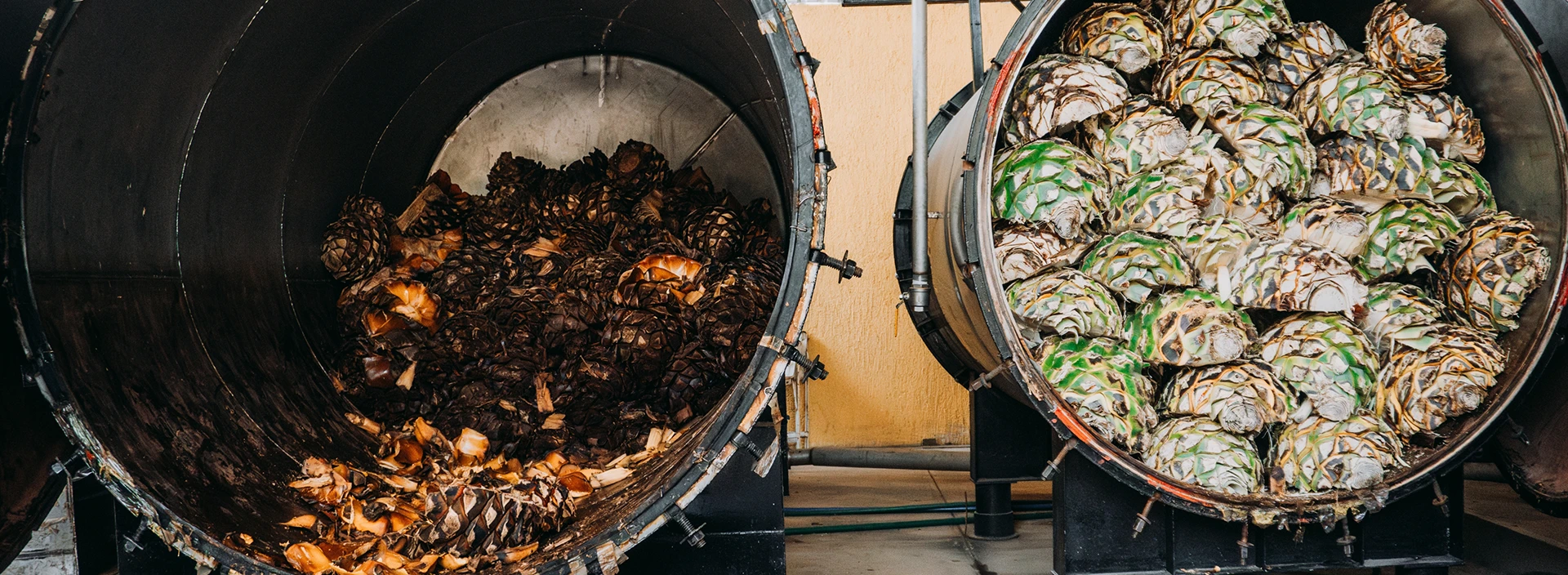 How to Drink Tequila A Guide to Enjoying Artisanal Tequila