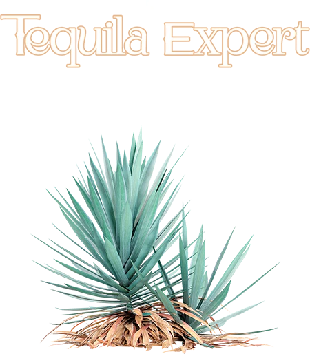 Imagen About Tequila Expert home page