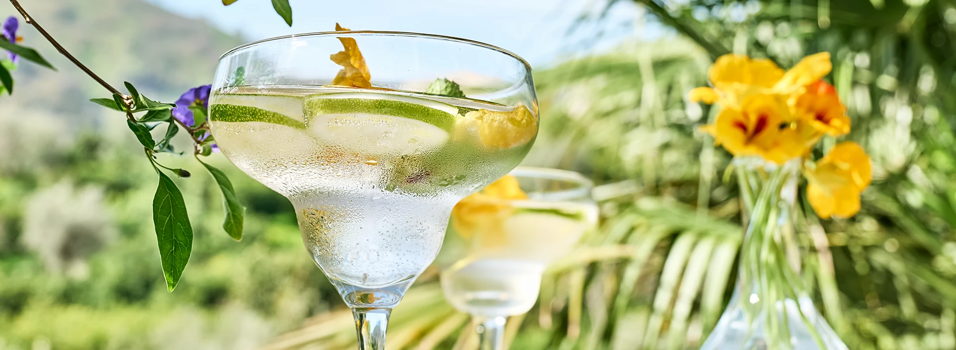 Spring Margarita The Brightest Cocktail of the Season