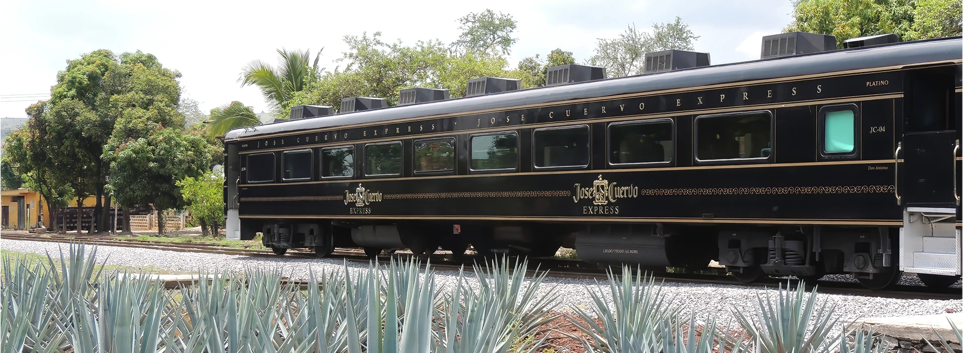 Things to Do in Tequila, Mexico Where Flavor Meets Its Origin
