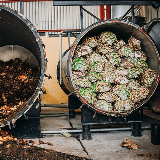 featured image A Guide to Enjoying Artisanal Tequila